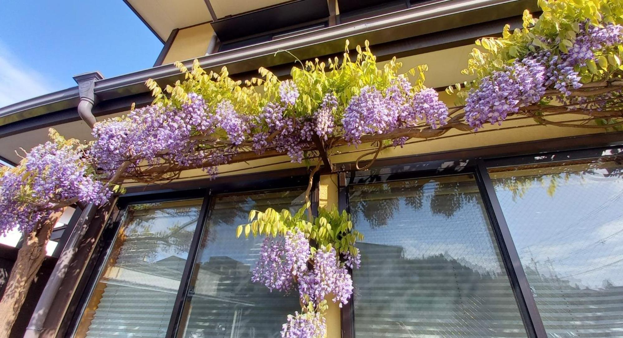 Maple Haus Hida Takayama - Vacation Stay 07682V 외부 사진